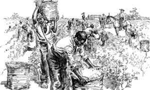 21. Yüzyılda Sömürgecilik: Eski Yöntemlerin Yeni Yüzleri