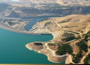 Gap Projesi ve Yerel Topluluklar: Yerinden Edilme, Uyum ve Direniş