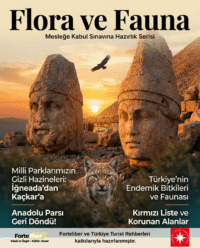 Flora, Fauna ve Doğa