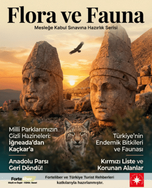 Flora, Fauna ve Doğa